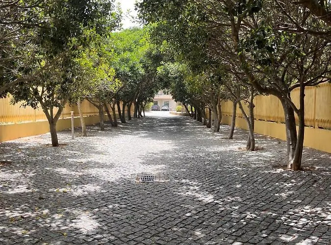 Barracuda Bythesea アルブフェイラ